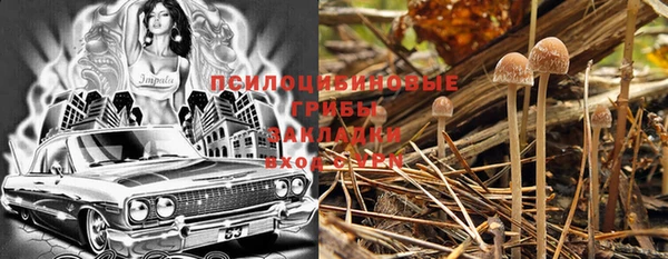 мескалин Алексин