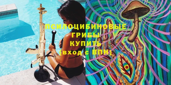 молекула духа Алзамай
