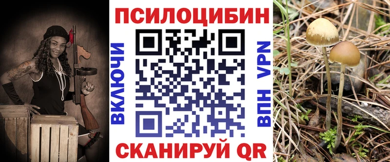 Псилоцибиновые грибы Magic Shrooms  Камышин 