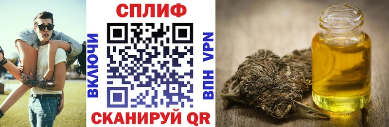 Каннабис сатива  Камышин 